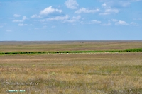 Озеро Батпакты. Июнь 2025 года