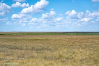 Озеро Батпакты. Июнь 2025 года