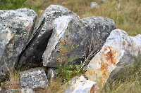 Скала Белая