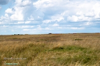 Скала Белая. Июнь 2025 года