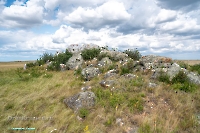 Скала Белая. Июнь 2025 года