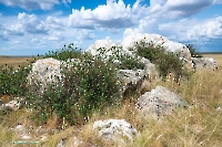 Скала Белая. Июнь 2025 года