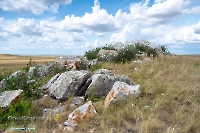 Скала Белая. Июнь 2025 года