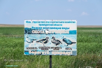 Верхнетущесайский пруд. Июнь 2025 год