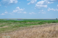 Верхнетущесайский пруд. Июнь 2025 год