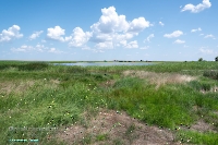 Верхнетущесайский пруд. Июнь 2025 год