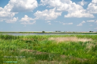 Верхнетущесайский пруд. Июнь 2025 год