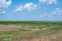 Верхнетущесайский пруд. Июнь 2025 год