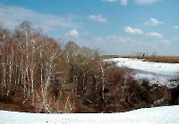 Каргалинско-Самарские сыртовые колки