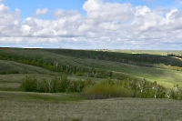 Каргалинско-Самарские сыртовые колки