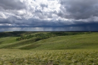 Каргалинско-Самарские сыртовые колки