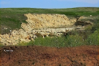 Балка Джеланды-Сай