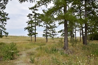 Струковский парк