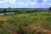 Озеро Рудничное. Июнь 2013 года