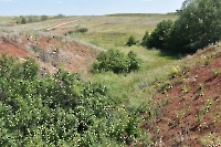 Кладбище псевдокрокодилов