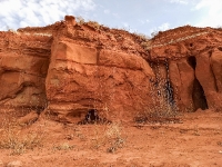 Красная круча. 2021 год