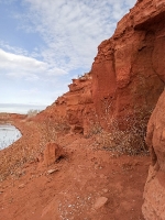 Красная круча. 2021 год