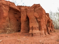 Красная круча. 2021 год