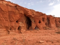 Красная круча. 2021 год