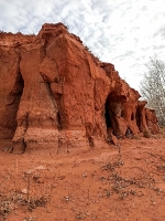 Красная круча. 2021 год