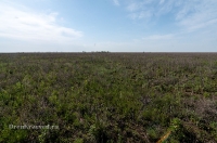 Орь-Кумакская степь