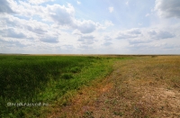 Озеро Куянколь