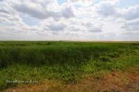 Озеро Куянколь