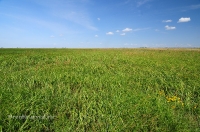 Урочище Артыкколь