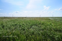 Урочище Артыкколь