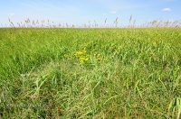 Урочище Артыкколь