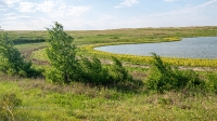Новоорский район