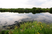 Новоорский район