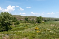 Иссергужинские утесы на реке Кумак