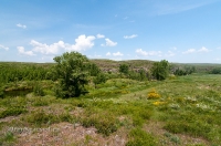 Иссергужинские утесы на реке Кумак