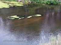 Утес на реке Урал в Скалистом (Скалистый Яр, Скалистый утес)
