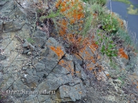 Утес на реке Урал в Скалистом (Скалистый Яр)