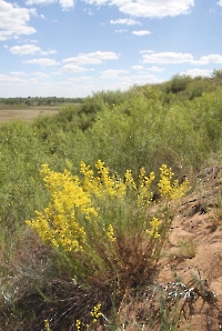 Урочище Царь-Бархан