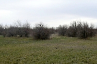 Урочище Ильмень