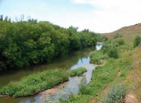 Верхнезаглядинский Кинельский яр