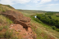 Верхнезаглядинский Кинельский яр