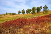 Асекеевский район