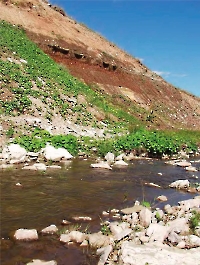 Родниковские обрывы