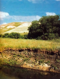 Урочище Белая гора