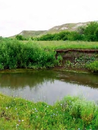 Урочище Белая гора у села Ефремово-Зыково