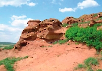 Новосергиевский район