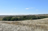 Мрясовский липовый лес