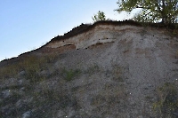 Старый Черепановский карьер и урочище Дубовое