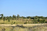 Старый Черепановский карьер и урочище Дубовое