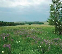 Русско-Швейцарские колки