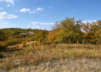 Русско-Швейцарские колки